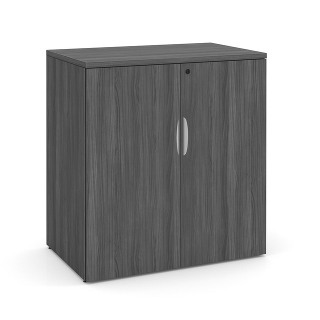 COE- Storage Cabinet 22X36 - CG