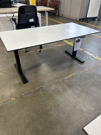 30x60 Sit Stand Desk