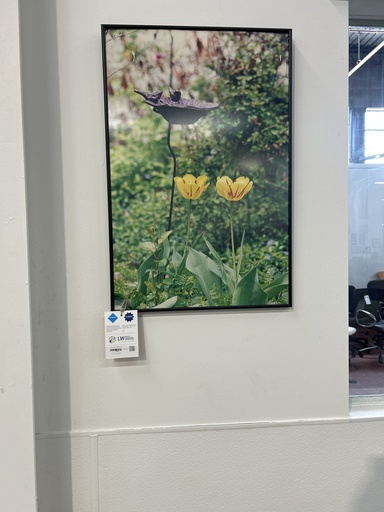 Yellow Tulips and Birdbath Artwork