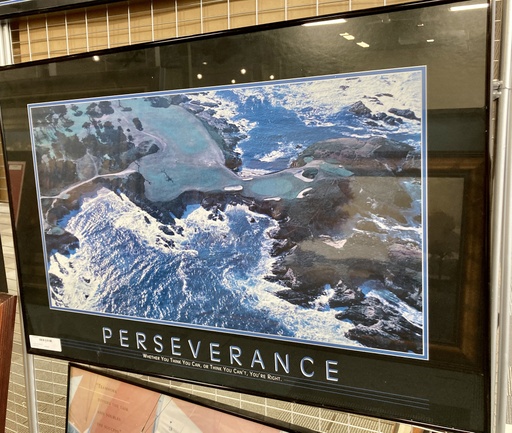 Perseverance Print Art 24x36